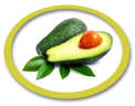 avocado puree supplier usa