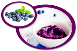 Blueberry Puree USA | Blueberry Puree Concentrate USA