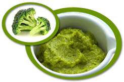 Broccoli Puree USA | Broccoli Puree Concentrate USA