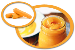 Carrot Puree USA | Carrot Puree Concentrate USA