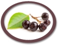 aronia juice not-from-concentrate