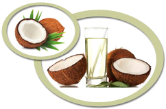 Coconut Juice Concentrate USA