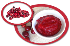 Cranberry Puree USA | Cranberry Puree Concentrate USA