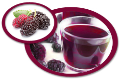 dewberry juice concentrate