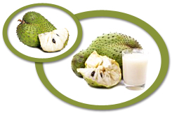guanabana juice concentrate