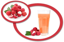 Lychee Concentrate USA