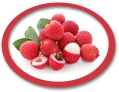 Lychee Concentrate USA