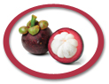 Mangosteen Puree USA | Mangosteen Puree Concentrate USA