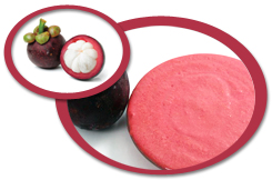 Mangosteen Puree USA | Mangosteen Puree Concentrate USA