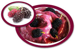 Mulberry Puree USA | Mulberry Puree Concentrate USA