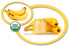Organic Banana Puree USA | Organic Banana Puree Concentrate USA