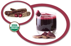 Organic Black Carrot Concentrate USA