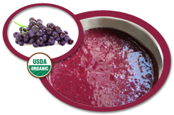 Organic Blackberry Puree USA | Organic Blackberry Puree Concentrate USA