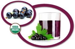 Organic Blackcurrant Juice NFC USA | Organic Blackcurrant Juice Not From
            Concentrate USA