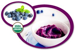 Organic Blueberry Puree USA | Organic Blueberry Puree Concentrate USA