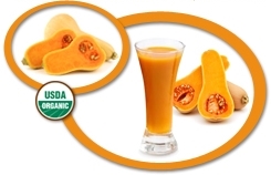 Organic Butternut Squash Juice Concentrate USA