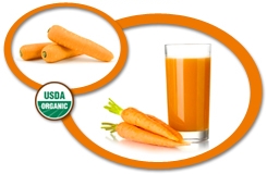 Organic Carrot Concentrate USA