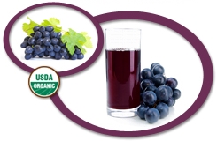 Organic Concord Grape Juice Concentrate USA