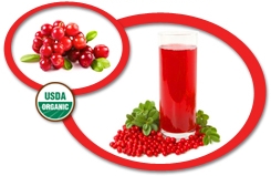 Organic Cranberry Juice Concentrate USA