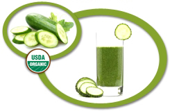 Organic Cucumber Concentrate USA