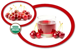 Organic Dark Sweet Cherry Juice Concentrate USA