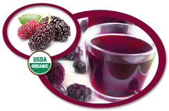Organic Dewberry Juice Concentrate USA