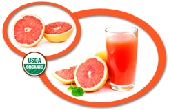Organic Grapefruit Juice NFC USA | Organic Grapefruit Juice Not From Concentrate
            USA