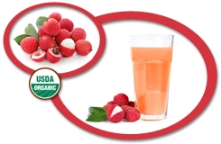 Organic Lychee Puree USA | Organic Lychee Puree Concentrate USA