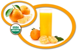Organic Mandarin Juice Concentrate USA