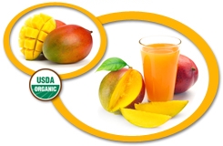 Organic Mango Juice Concentrate USA
