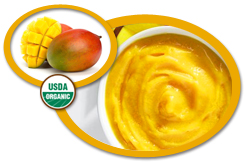 Organic Orange Puree USA | Organic Orange Puree Concentrate USA