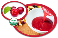 Organic Plum Puree USA | Organic Plum Puree Concentrate USA