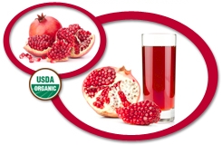 Organic Pomegranate Juice NFC USA | Organic Pomegranate Juice Not From
            Concentrate USA