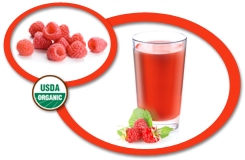 Organic Raspberry Juice NFC USA | Organic Raspberry Juice Not From Concentrate
            USA