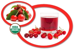 organic sour cherry juice concentrate
