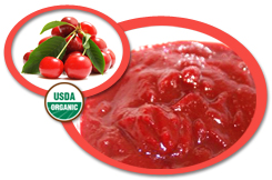Organic Sour Cherry Puree USA | Organic Sour Cherry Puree Concentrate
            USA