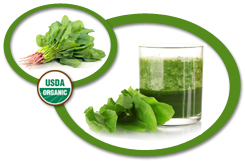 organic spinach juice concentrate