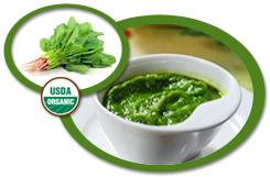 Organic Spinach Puree USA | Organic Spinach Puree Concentrate USA