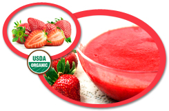 Organic Strawberry Puree USA | Organic Strawberry Puree Concentrate USA