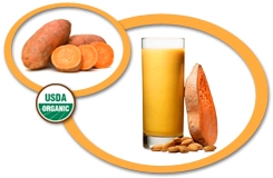 organic sweet potato juice concentrate