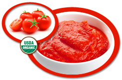 Organic Tomato Puree USA | Organic Tomato Puree Concentrate USA