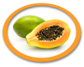 Organic Papaya Juice Concentrate USA