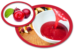 Plum Puree USA | Plum Puree Concentrate USA