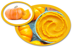 Pumpkin Puree USA | Pumpkin Puree Concentrate USA