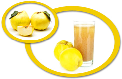 Quince Puree USA | Quince Puree Concentrate USA