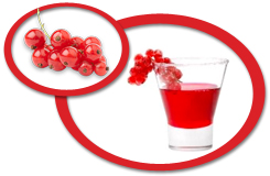 red currant juice concentrate