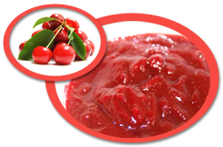 Sour Cherry Puree USA | Sour Cherry Puree Concentrate USA