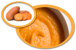 Sweet Potato Puree USA | Sweet Potato Puree Concentrate USA